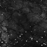Thumbnail for dataset Fig1E_anterior1_50_1
