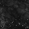 Thumbnail for Fig1E_anterior1_50_2