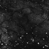 Thumbnail for dataset Fig1E_anterior1_50_3