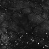 Thumbnail for dataset Fig1E_anterior1_50_4