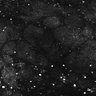 Thumbnail for Fig1E_anterior1_100_3