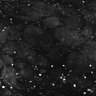 Thumbnail for Fig1E_anterior1_100_4