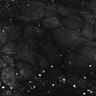 Thumbnail for dataset Fig1E_anterior1_200_4