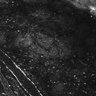Thumbnail for Fig1E_anterior2_100_3