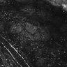 Thumbnail for dataset Fig1E_anterior2_100_4