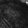 Thumbnail for Fig1E_anterior2_200_2