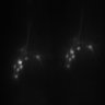 Thumbnail for tax4_7_t1