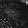 Thumbnail for Fig1E_anterior2_300_1
