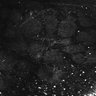 Thumbnail for dataset Fig1E_anterior3_50_4