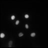 Thumbnail for dataset sample1