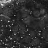 Thumbnail for dataset Fig1E_posterior1_100_3