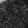 Thumbnail for dataset Fig1E_posterior1_200_2