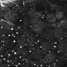Thumbnail for Fig1E_posterior1_200_3