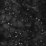 Thumbnail for dataset Fig1E_posterior3_100_3