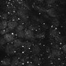 Thumbnail for dataset Fig1E_posterior3_300_3