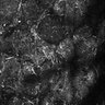 Thumbnail for dataset Fig2D_timecontroller_66