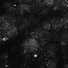 Thumbnail for dataset Fig2D_timecontroller_77