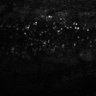 Thumbnail for dataset Fig2EF-S2E-S2H_9