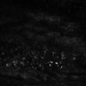 Thumbnail for dataset Fig2EF-S2E-S2H_16