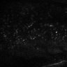 Thumbnail for dataset Fig2EF-S2E-S2H_21