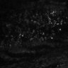 Thumbnail for dataset Fig2EF-S2E-S2H_37