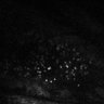 Thumbnail for dataset Fig2EF-S2E-S2H_66