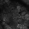Thumbnail for dataset Fig3A-3C
