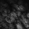 Thumbnail for dataset Fig3G-3I_1