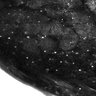 Thumbnail for dataset Fig3G-3I_5