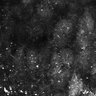 Thumbnail for dataset Fig4B