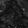Thumbnail for dataset Fig4E-G-S3H_4_