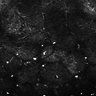 Thumbnail for dataset Fig4E-G-S3H_7_