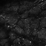 Thumbnail for dataset Fig4E-G-S3H_8_