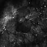 Thumbnail for dataset Fig4E-G-S3H_11