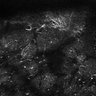 Thumbnail for Fig4E-G-S3H_19_