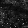 Thumbnail for dataset Fig4E-G-S3H_28