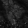 Thumbnail for Fig4E-G-S3H_31_