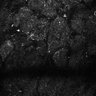 Thumbnail for dataset Fig4E-G-S3H_45