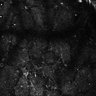 Thumbnail for dataset Fig4E-G-S3H_46_