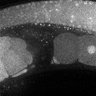 Thumbnail for dataset Fig1F_TiE_131017-6