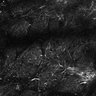 Thumbnail for dataset Fig4E-G-S3H_61