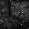 Thumbnail for dataset Fig4E-G-S3H_65