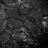 Thumbnail for dataset Fig4E-G-S3H_68