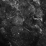 Thumbnail for dataset Fig4E-G-S3H_70_