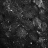Thumbnail for dataset Fig4E-G-S3H_71_