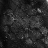 Thumbnail for dataset Fig4E-G-S3H_72