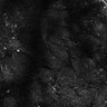 Thumbnail for dataset Fig4E-G-S3H_73_