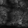 Thumbnail for dataset Fig4E-G-S3H_80_