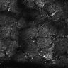 Thumbnail for dataset Fig4E-G-S3H_81