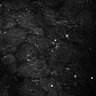 Thumbnail for dataset Fig5-S5_Acp_FOV1_3